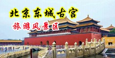 孙猴子AV操美女大屄视频中国北京-东城古宫旅游风景区